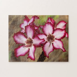 Impala Lily (Adenium Multiflorum), Kruger Jigsaw Puzzle