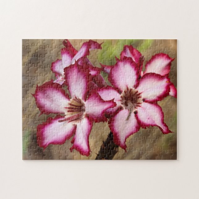 Impala Lily (Adenium Multiflorum), Kruger Jigsaw Puzzle (Horizontal)