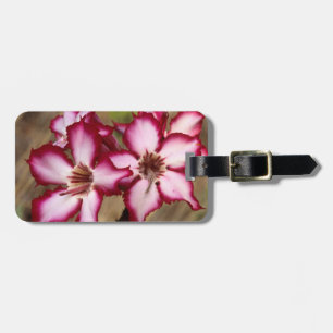 Impala Lily (Adenium Multiflorum), Kruger Luggage Tag