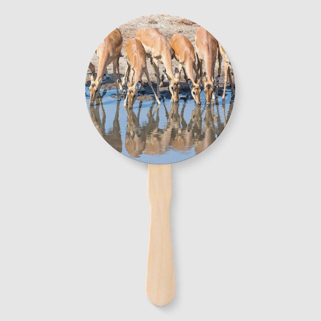 Impalas at the waterhole hand fan (Front)