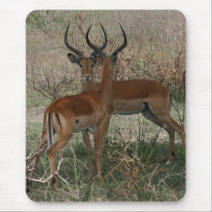 Impalas on the Serengeti Mouse Pad