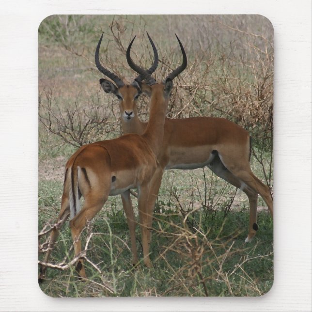 Impalas on the Serengeti Mouse Pad (Front)