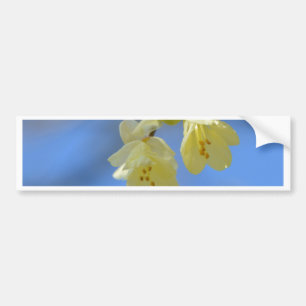 Impatience Bumper Sticker