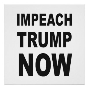 IMPEACH TRUMP NOW Protest Sign
