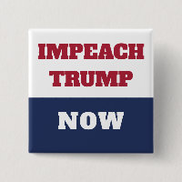 Impeachment Now Anti Trump Trumpism