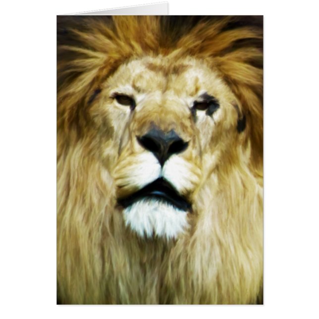 Imperfect King (Front)