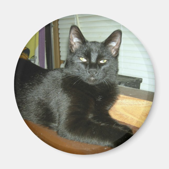 Imperial kitty magnet (Front)