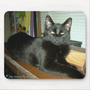Imperial kitty mouse pad