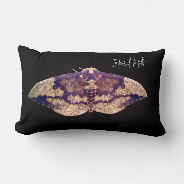 Imperial Moth Lumbar Cushion (Front)