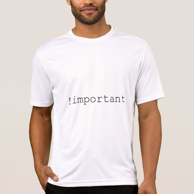 Important Declaration (CSS & Web Design) T-Shirt (Front)