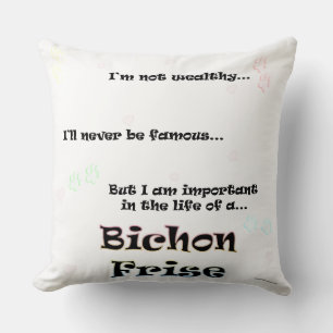 Important in the life of a Bichon Cushion