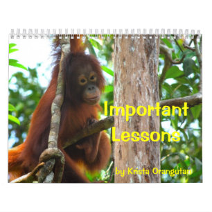 Important Lessons by Krista Orangutan Calendar