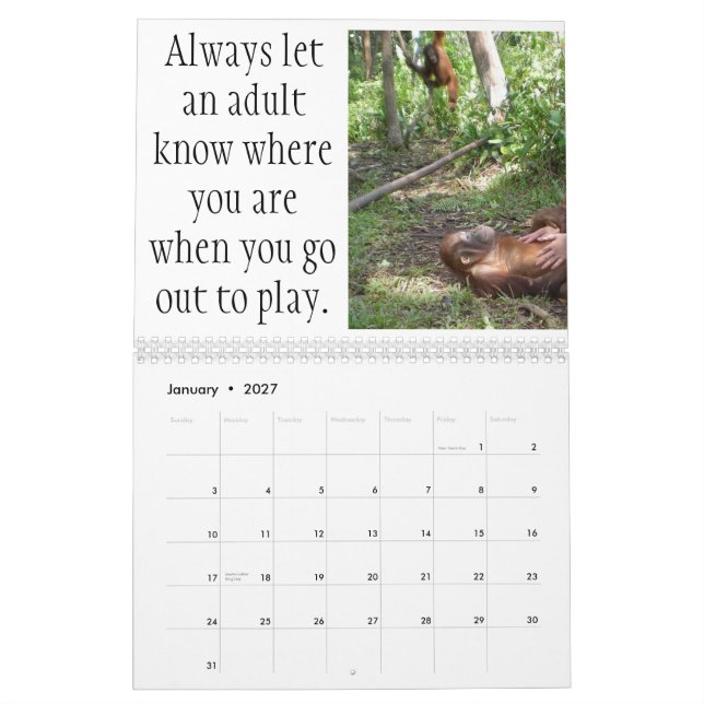 Important Lessons for Children by Krista Orangutan Calendar (Jan 2027)