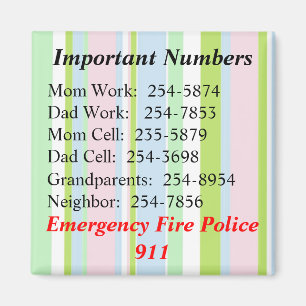 Important Numbers Magnet