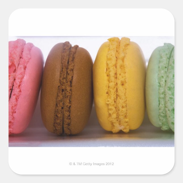 Imported gourmet French macarons (macaroons) Square Sticker (Front)