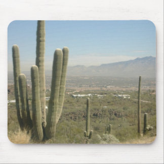 Imported Photos 00125 Mouse Pad