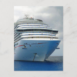 Imposing Bow Postcard