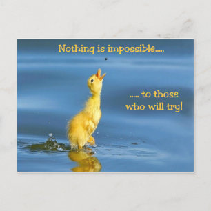 Impossible Duck Postcard