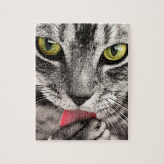 Impossible Puzzle - Grey striped cat