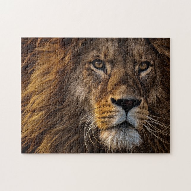 Impossible Puzzle - Lion Zoom (Horizontal)