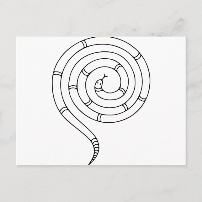Impossible Snake Optical Illusion Postcard (Front)