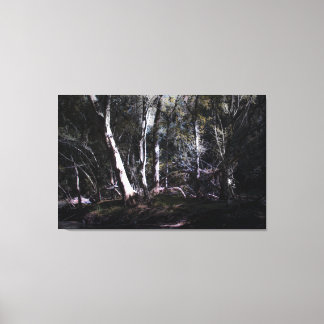 Impression in Screen, Negra Forest Canvas Print