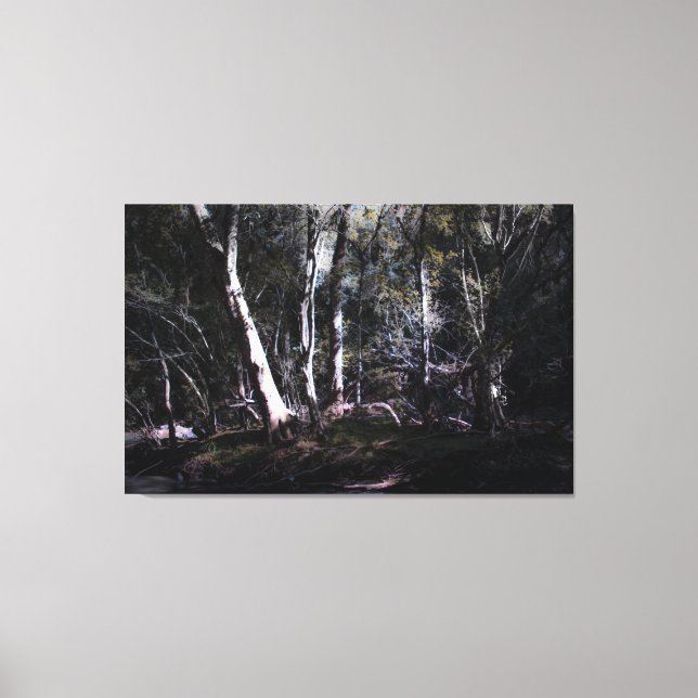 Impression in Screen, Negra Forest Canvas Print (Front)