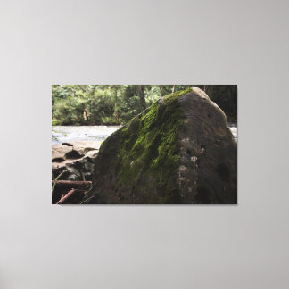 Impression in Screen, Rock Canvas Print