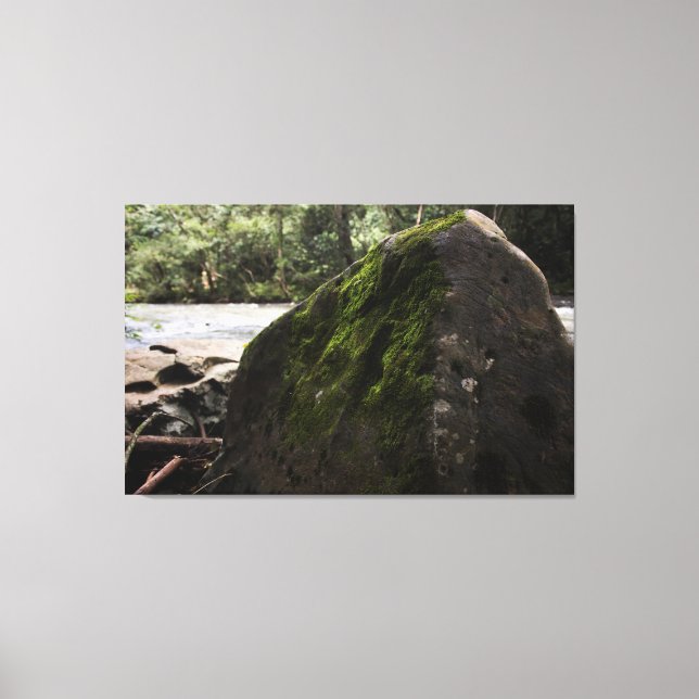 Impression in Screen, Rock Canvas Print (Front)