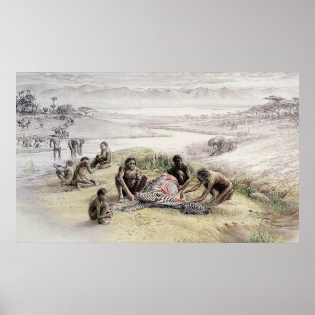 Impression of a camp occupied by Homo habilis Poster (Front)