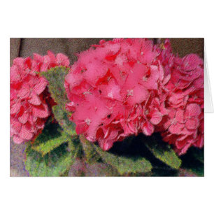 Impression Pink Flowers