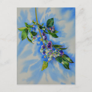 Impressionistic Blueberry painting Postcard