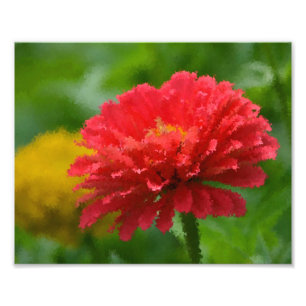 Impressionistic Zinnia Photo Print