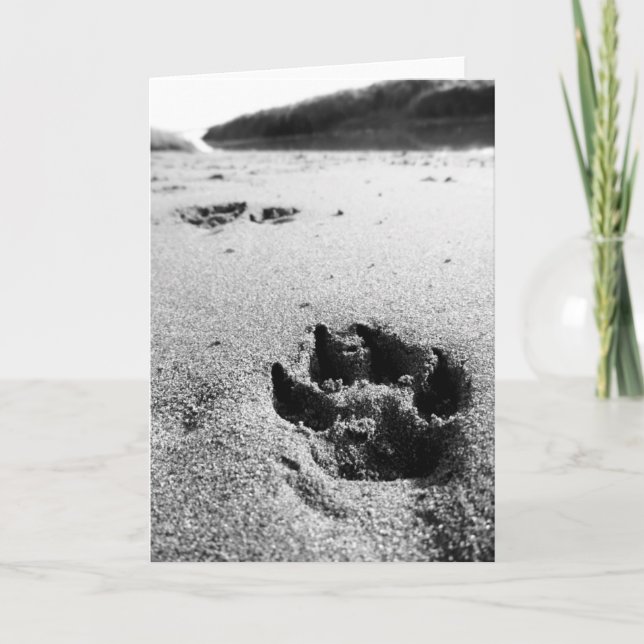 Impressions Card (Front)