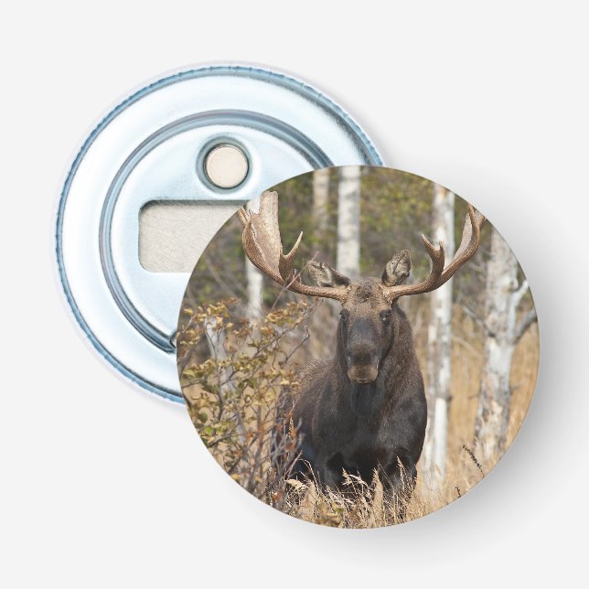 Impressive Bull Moose Bottle Opener (Front)