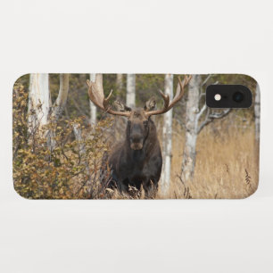 Impressive Bull Moose Case-Mate iPhone Case