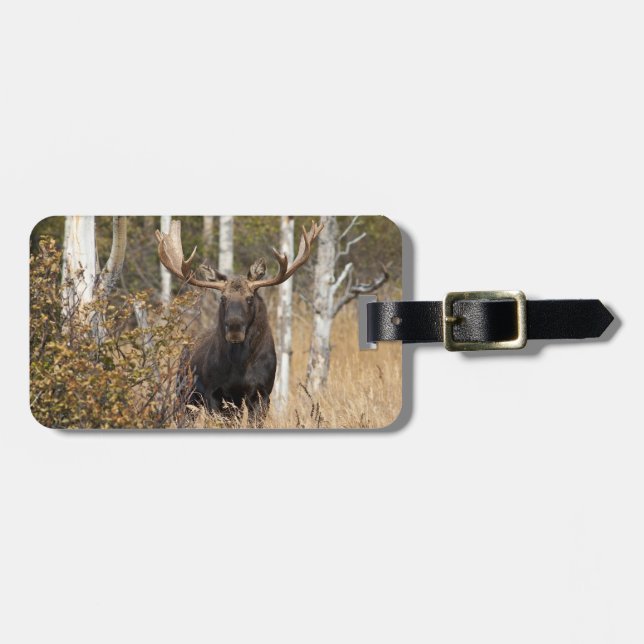 Impressive Bull Moose Luggage Tag (Front Horizontal)