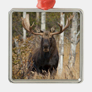 Impressive Bull Moose Metal Tree Decoration