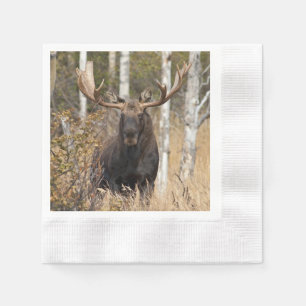 Impressive Bull Moose Napkin