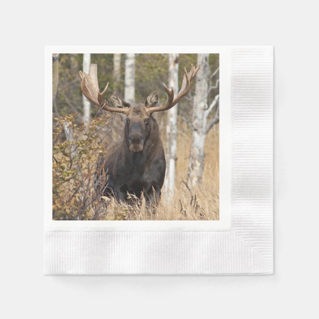 Impressive Bull Moose Napkin (Front)
