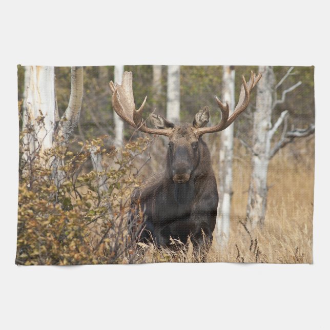 Impressive Bull Moose Tea Towel (Horizontal)