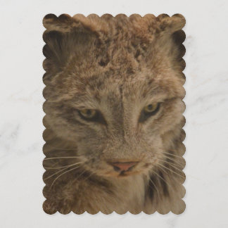 Impressive Lynx Invitation