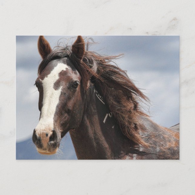 Impressive Postcard (Front)