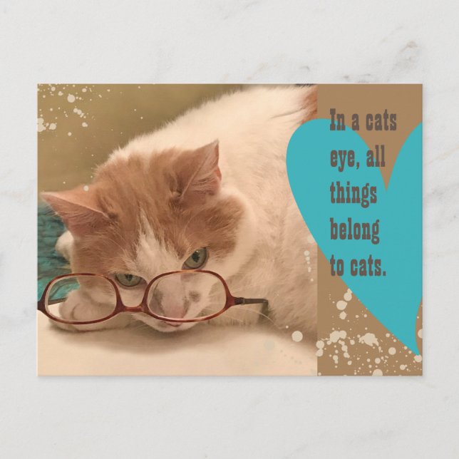 In a cats eye Funny Cat Postcard (Front)