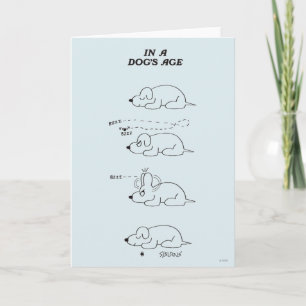 In a Dog's Age Card