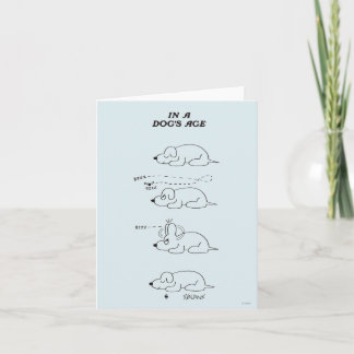 In a Dog's Age Card