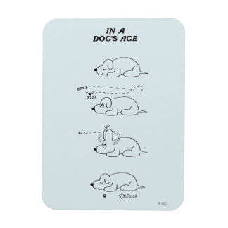 In a Dog's Age Magnet