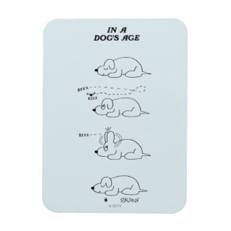 In a Dog's Age Magnet