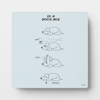 In a Dog's Age Plaque