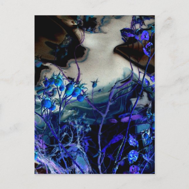 "In A Dream" Abstract Digitally Altered Rose Hips Postcard (Front)